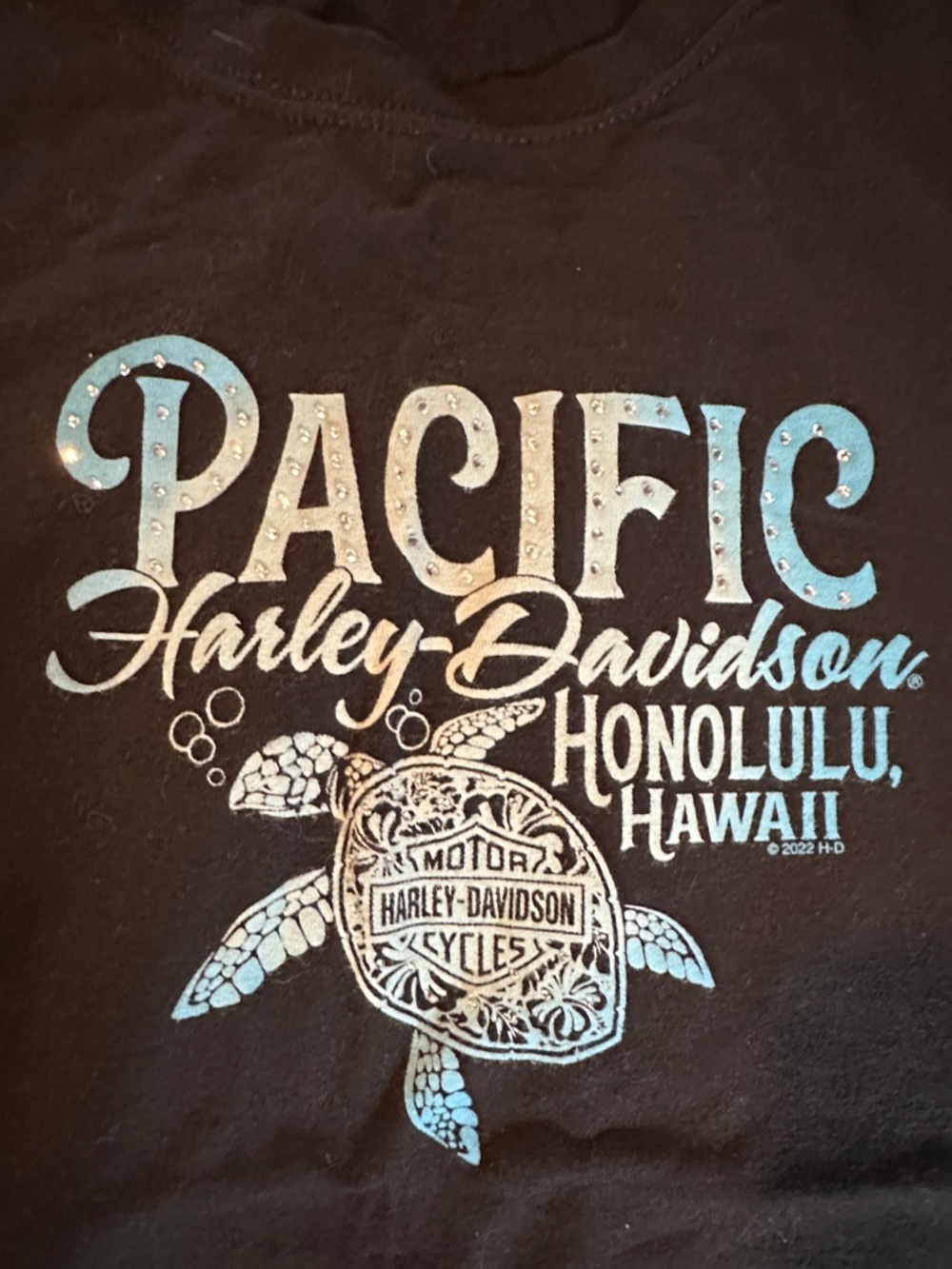 Harley-Davidson Black Tee with Light Blue & White Pacific Turtle Graphic